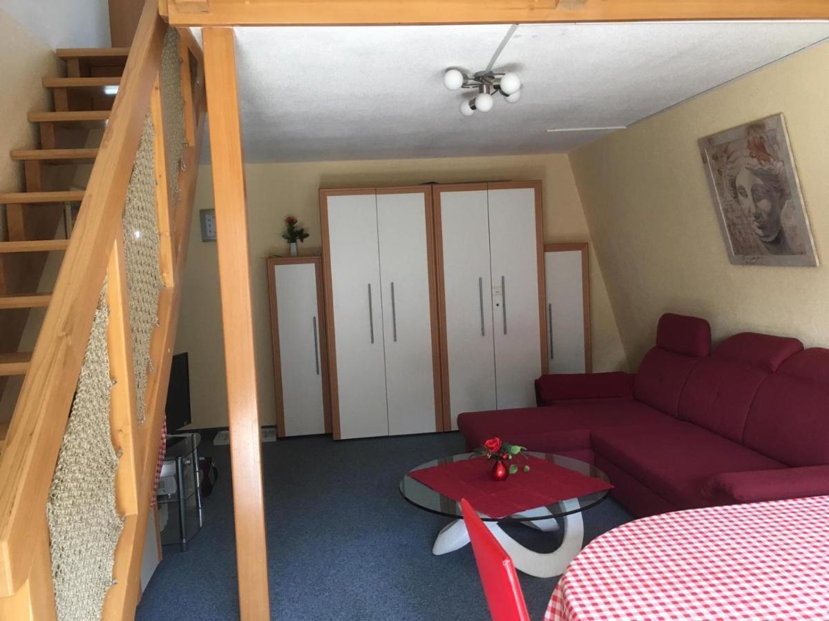 Haus Dachsberg Todtmoos Apartment ภายนอก รูปภาพ